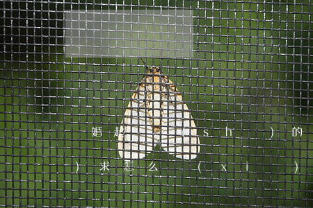 離婚起訴書(shū)的訴訟請(qǐng)求怎么寫(xiě)(起訴離婚怎么寫(xiě)起訴離婚書(shū))