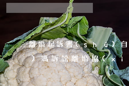 離婚起訴書(shū)自己可以寫(xiě)嗎(訴訟離婚協(xié)議書(shū)自己寫(xiě)還是在法院寫(xiě))
