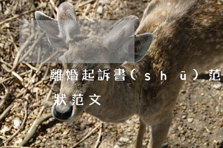 離婚起訴書(shū)范文5例(離婚案起訴狀范文)