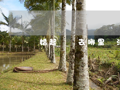 離婚起訴書去哪里寫(法院起訴離婚書怎樣寫)