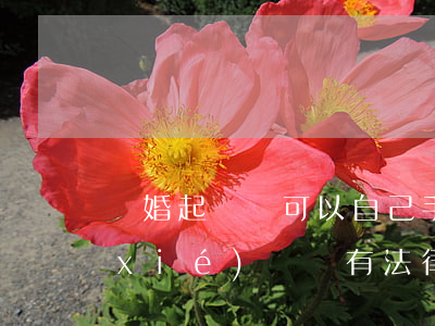 離婚起訴書可以自己手寫嗎(手寫的離婚協(xié)議書有法律效力嗎)