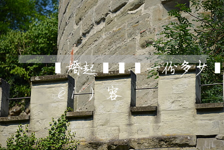 離婚起訴書寫一份多少錢(離婚起訴書內(nèi)容)