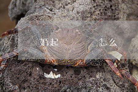 離婚起訴書標題怎么寫(離婚起訴書怎么填寫)