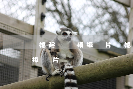離婚起訴書模板圖片(離婚起訴書范文 女方模板圖片)