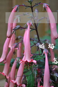 離婚起訴書模板詳細寫能修改的(離婚民事起訴狀怎么寫模板)