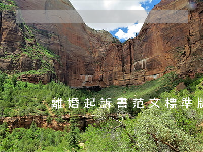 離婚起訴書范文標準版