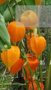 離婚起訴有一方不同意離婚怎么辦(離婚起訴有一方不同意離婚怎么辦)