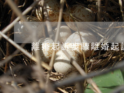 離婚起訴步驟(離婚起訴步驟以及流程)