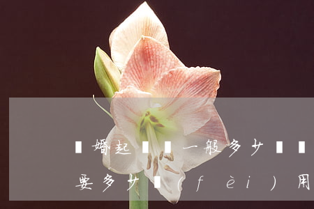 離婚起訴狀一般多少錢(離婚起訴狀遞交后需要多少費(fèi)用)