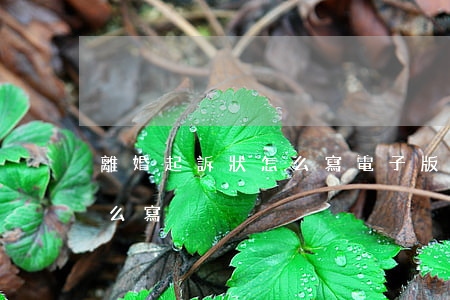 離婚起訴狀怎么寫電子版(離婚訴訟起訴狀怎么寫)