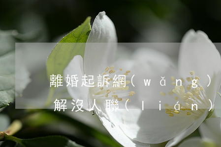 離婚起訴網(wǎng)上調(diào)解沒人聯(lián)系(起訴離婚為什么沒有調(diào)解)