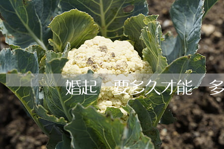 離婚起訴要多久才能離(多久可以起訴離婚)
