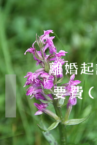 離婚起訴要多少費(fèi)用(起訴離婚需要費(fèi)用嗎大概需要多少錢)