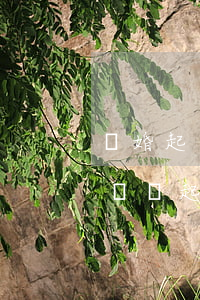 離婚起訴調(diào)解失敗還用重新起訴嗎(起訴離婚調(diào)解成功就判離婚嗎)