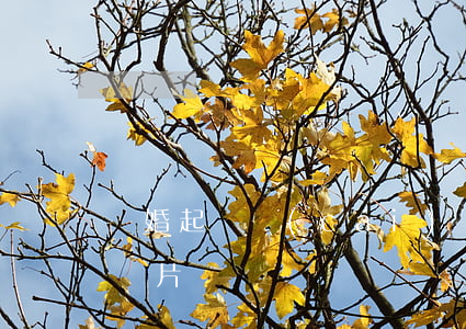 離婚起訴財(cái)產(chǎn)清單圖片