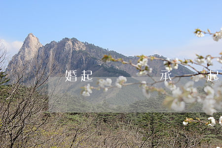 離婚起訴費誰來承擔(誰起訴離婚誰付起訴費嗎)