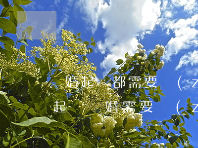 離婚起訴都需要準(zhǔn)備什么材料(起訴離婚需要準(zhǔn)備些什么材料)