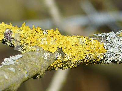 離婚起訴開庭不去會(huì)怎樣(起訴了離婚,要是開庭被告不來怎么辦)
