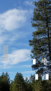 離婚起訴開庭法官會(huì)問些什么問題(離婚開庭法官會(huì)問原告什么)