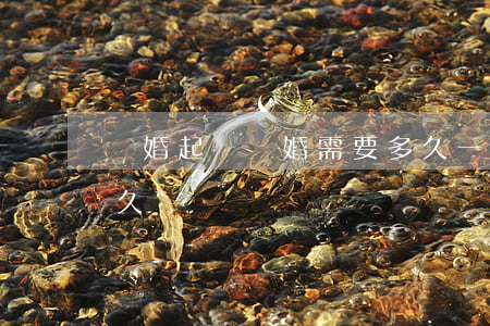 離婚起訴離婚需要多久(一般起訴離婚需要多久)
