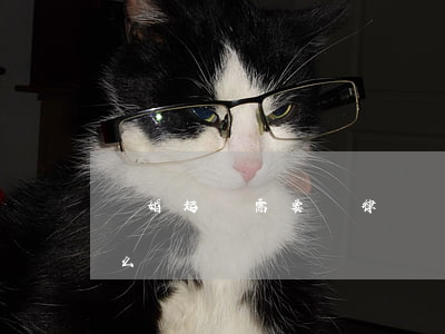 離婚起訴需要請律師嗎(離婚官司需要請律師么)