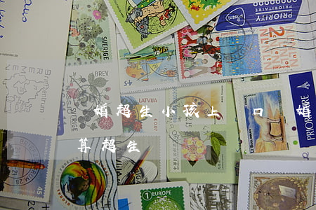 離婚超生小孩上戶口(離婚后所生的孩子算不算超生)