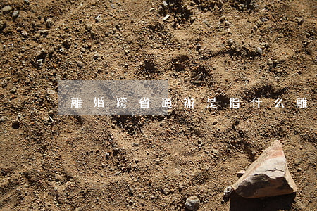 離婚跨省通辦是指什么(離婚跨省可以辦理么)