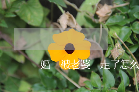 離婚車被老婆開走了怎么辦