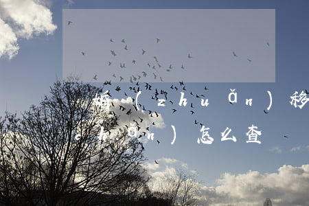 離婚轉(zhuǎn)移財(cái)產(chǎn)怎么查