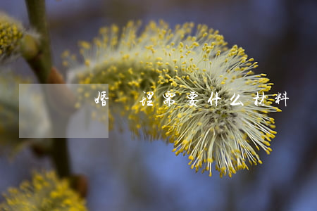 離婚辦理需要什么材料