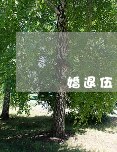 離婚退伍費(fèi)怎么算