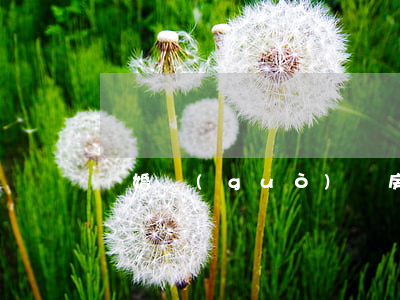 離婚過(guò)戶房產(chǎn)流程