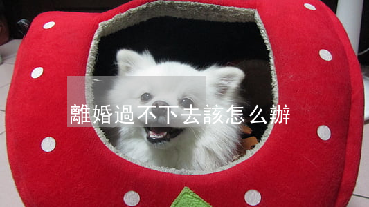 離婚過不下去該怎么辦