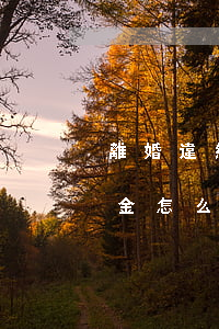 離婚違約金一直拿不到怎么辦(離職要交違約金怎么辦)