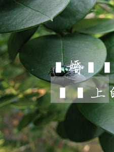 離婚違約金拿不到怎么辦(離婚協(xié)議書上的違約金有用嗎)