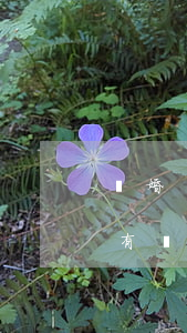 離婚遠(yuǎn)嫁沒歸屬該離開嗎(有沒有遠(yuǎn)嫁已經(jīng)離婚的)