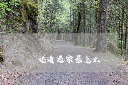 離婚遭遇家暴怎么辦