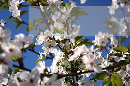 離婚還有幾天開庭了(離婚訴訟一般幾天開庭)
