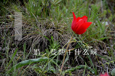 離婚還要他干什么呀