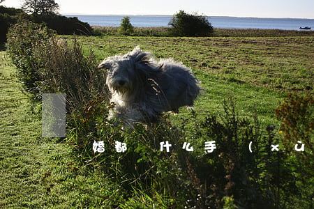 離婚都帶什么手續(xù)