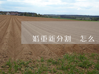 離婚重新分割該怎么辦