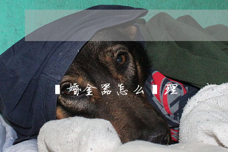 離婚金器怎么處理