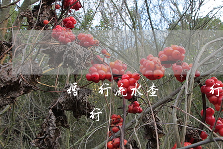 離婚銀行流水查幾個銀行(離婚銀行流水查幾個銀行)