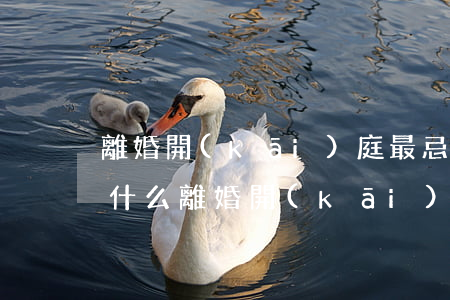 離婚開(kāi)庭最忌諱說(shuō)什么(離婚開(kāi)庭原告說(shuō)話禁忌)