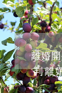 離婚開幾次庭可以判離婚(離婚開幾次庭可以判離婚)