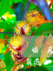 離婚開庭怎么陳述(離婚開庭怎么陳述感情破裂范文)