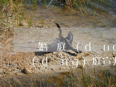 離婚開庭當(dāng)庭宣判嗎(離婚案當(dāng)庭宣判嗎)