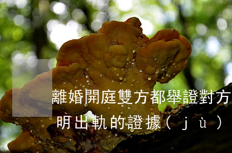 離婚開庭雙方都舉證對方出軌(離婚官司中證明出軌的證據(jù))