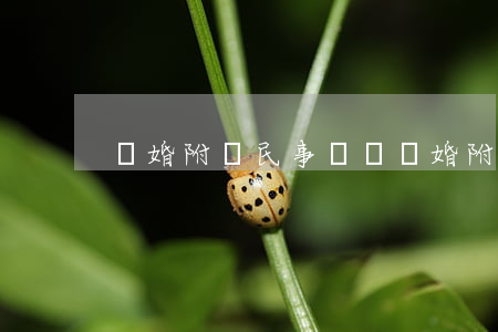 離婚附帶民事賠償(離婚附帶民事賠償)