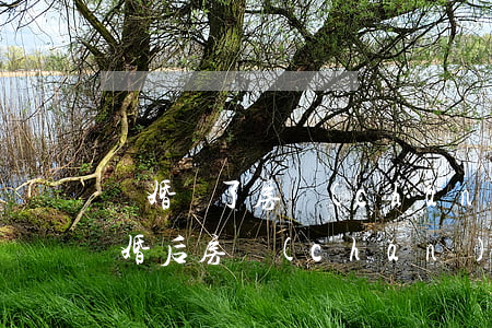 離婚離了房產(chǎn)沒處理怎么辦(離婚后房產(chǎn)一直沒有分割,現(xiàn)在怎樣處理?)